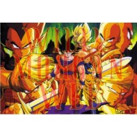 Dragon Ball Z 6